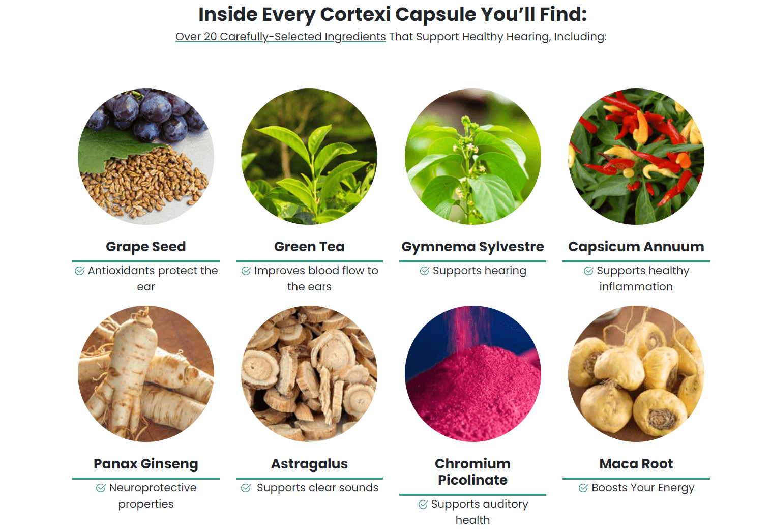 Cortexi ingredients